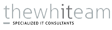 the_white_team_consulting_cover