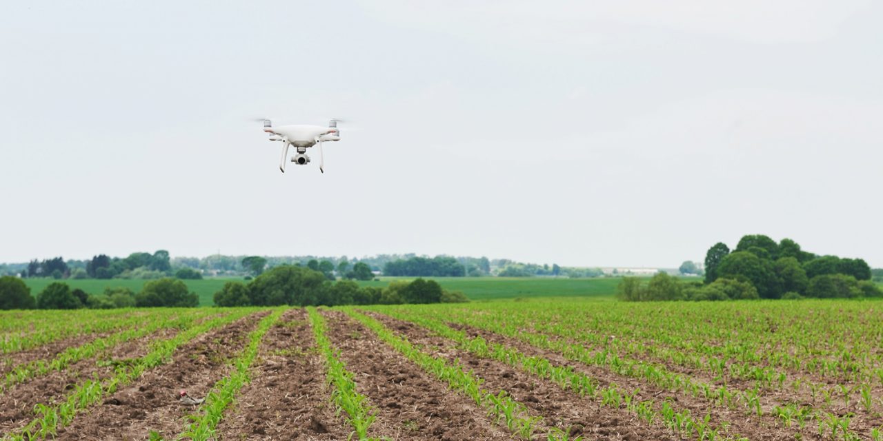 Cotesa lidera el proyecto ‘Tritón’, que utiliza sistemas avanzados de observación satelital e IA para analizar el estrés hídrico de los cultivos